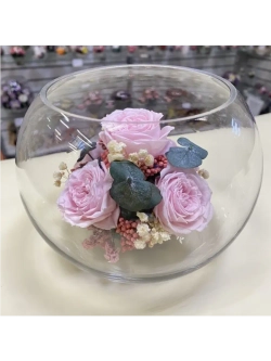 Натуральные пионы в стекле, вакуум