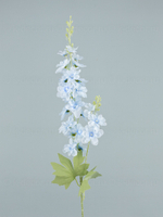 Дельфиниум Эстер