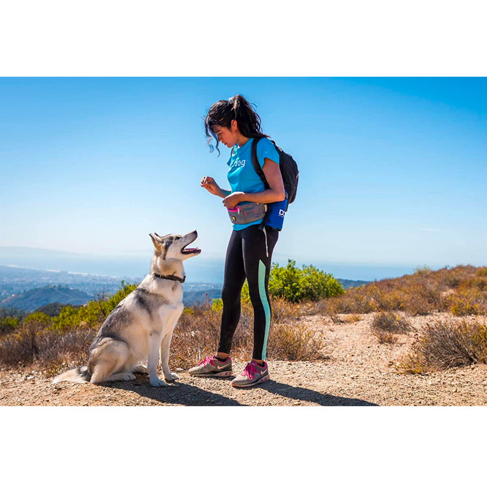 Сумка на пояс "Maxi" DOOG