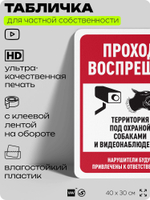 Табличка для частной территории "Проход воспрещен", на дом, для участка, организаций и частных территорий, предупреждающая, 40х30 см, Silver Plane x Айдентика Технолоджи