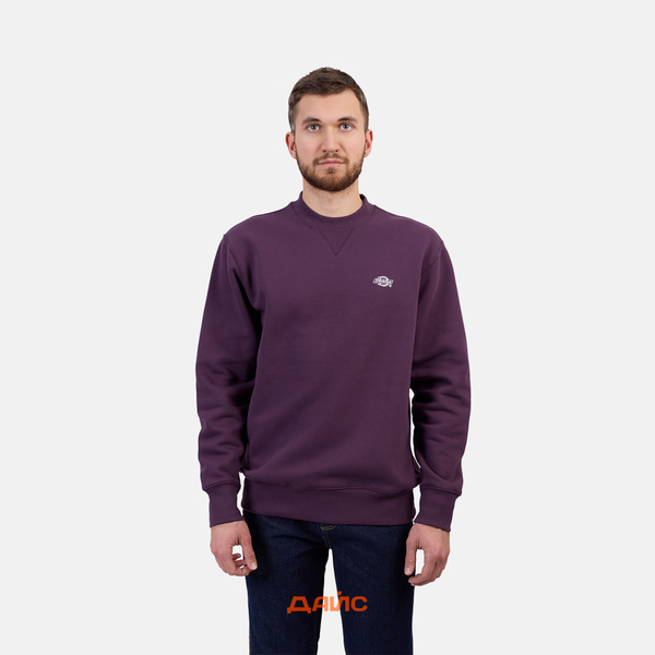 Толстовка мужская Dickies Summerdale Sweatshirt артикул:DK0A4Y6QJ561 - купить в магазине Дайс