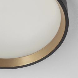 Citilux ETALON CL750181 LED Светильник с подсветкой Чёрный+Золото