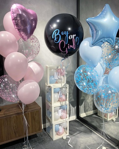 Набор шаров на Гендер Пати №4