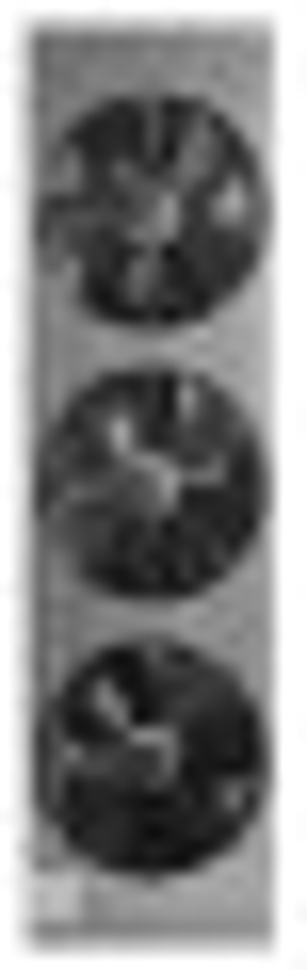 Завеса тепловая электрическая BALLU BHC-U20T18-PS ULTRA НС-1248463