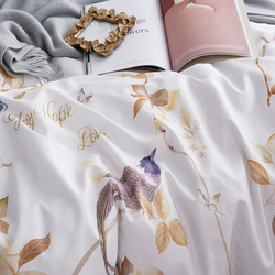 Постельное белье ЕВРО (двуспалка) Египетский Хлопок Лепестки на желтом