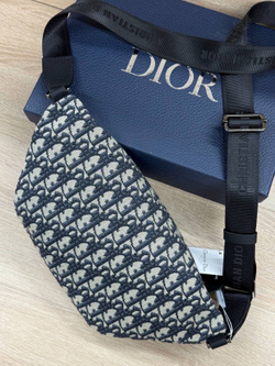 Нагрудная-Поясная сумка Christian Dior