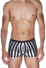 Мужские трусы-боксеры в крупную полоску (Размер: L-XL) (Цвет: черный с серебристым)