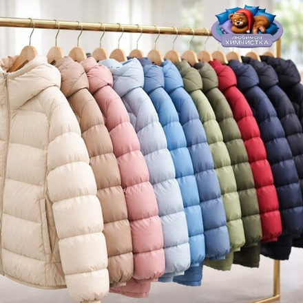 Химчистка пуховика