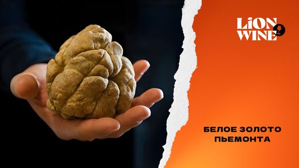 Белое золото Пьемонта: Белое золото Пьемонта: