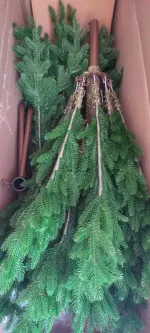 Ель искусственная «Вега» (Литая хвоя) 230 см / 2,3 м