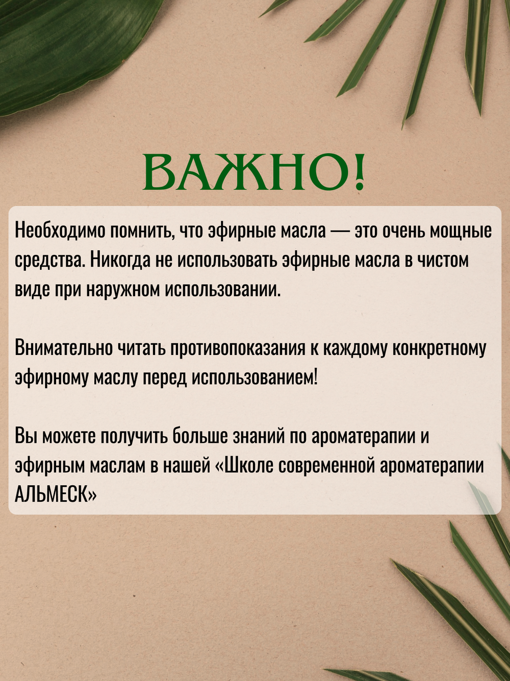 Эвкалипт шаровый. Натуральное эфирное масло.