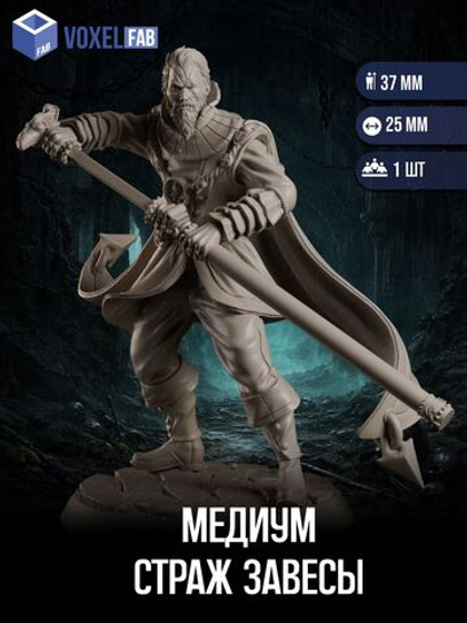 Медиум Страж Завесы миниатюры для настольных игр РНИ, ДнД