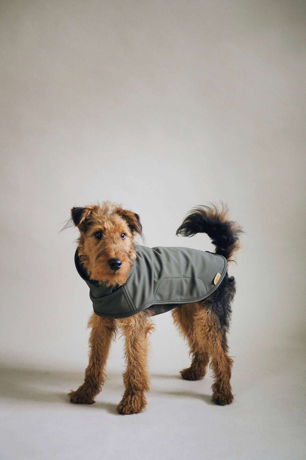 Попона "Пони-попони" хаки