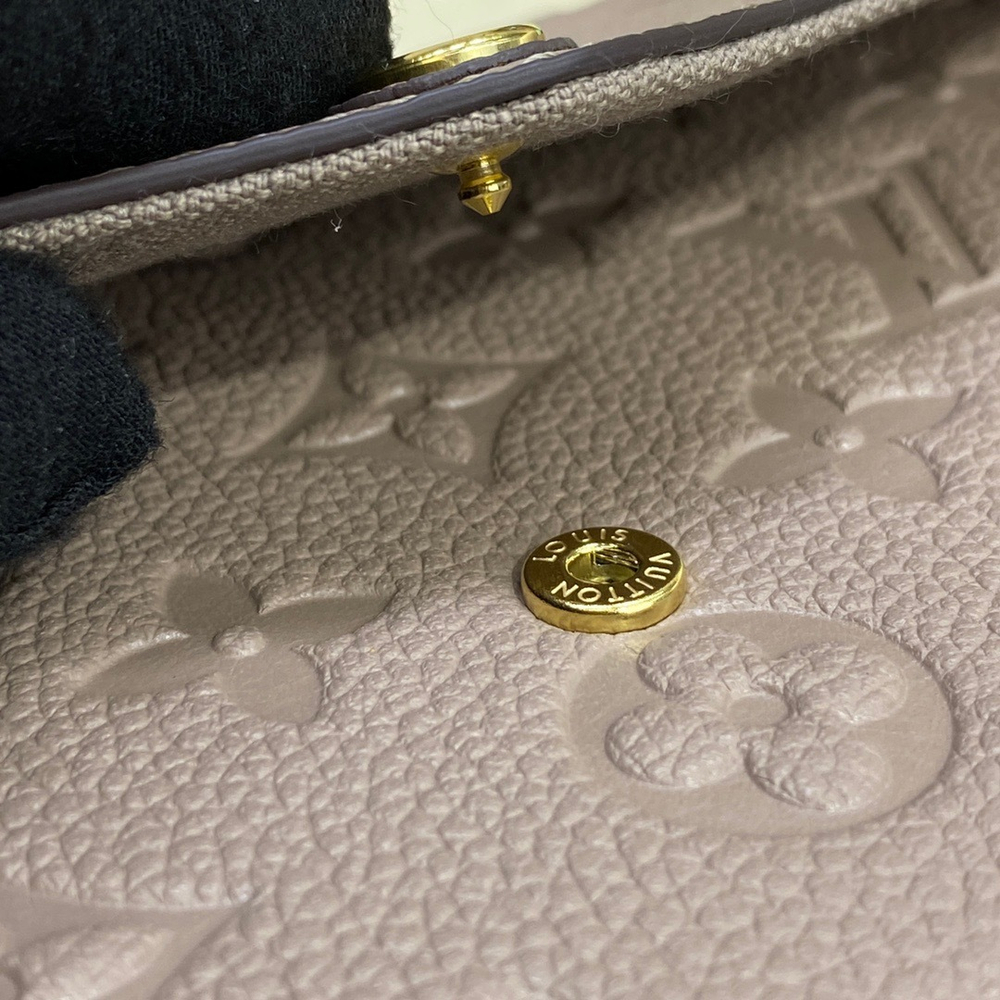 Louis Vuitton Félicie Pochette
