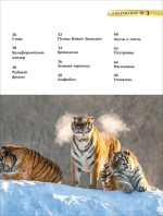 Красная книга. Детская энциклопедия
