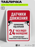 Табличка для частной территории "Датчики движения", на дом, для участка, организаций и частных территорий, предупреждающая, 40х30 см, Silver Plane x Айдентика Технолоджи