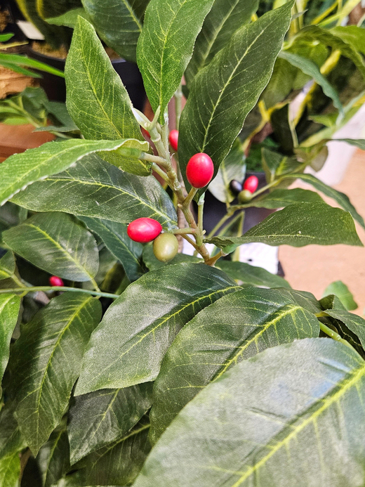 Кофейное дерево искусственное 95см в горшке