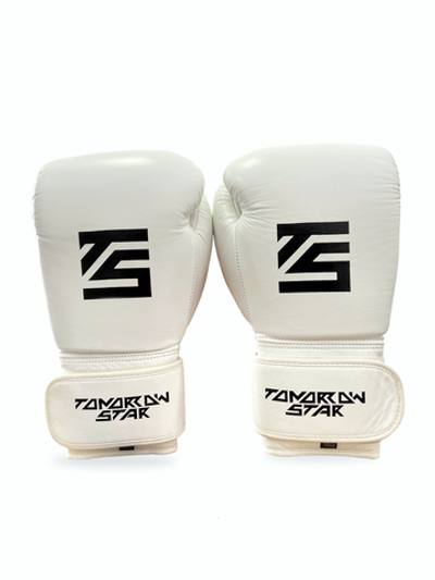 Перчатки боксерские WHITE- BLACK TS 19