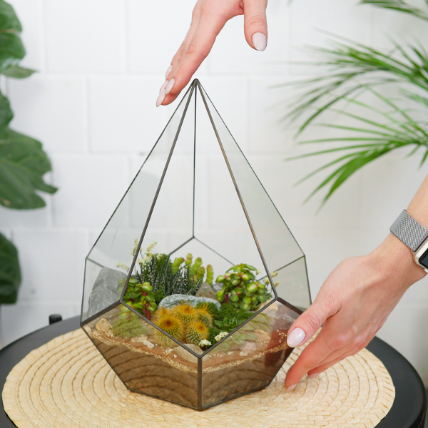 Готовый флорариум с кактусами Капля