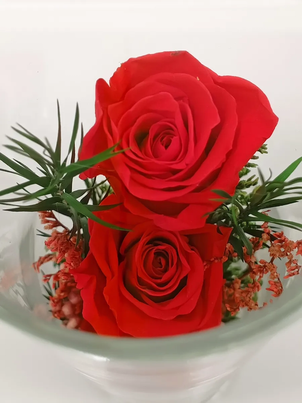 натуральные кустовые розы в стекле, вакуум*