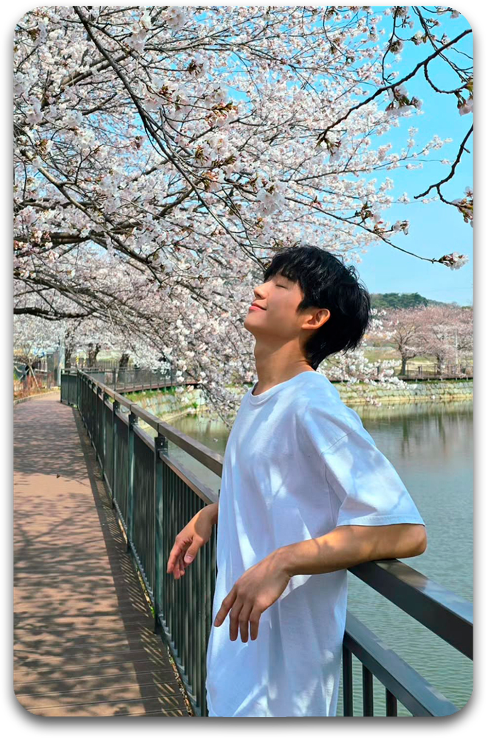 Карта #2435 / Jung Haein