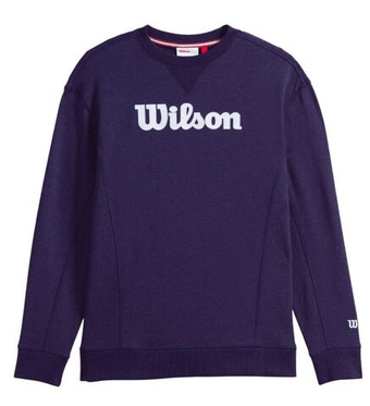 Мужская теннисная кофта Wilson Team Script Crewneck - небесный