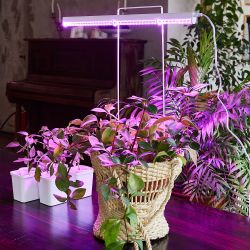 ULI-P20-10W-SPSB IP40 WHITE Светильник для растений светодиодный линейный. 560мм. выкл. на корпусе. Спектр для рассады и цветения. TM Uniel