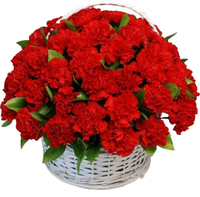 Ритуальная корзина из живых цветов «80 красных гвоздик, зелень»