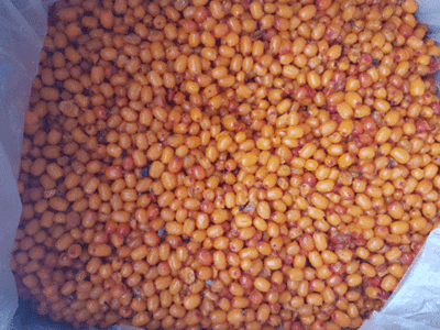 Облепиха садовая замороженная (вес)