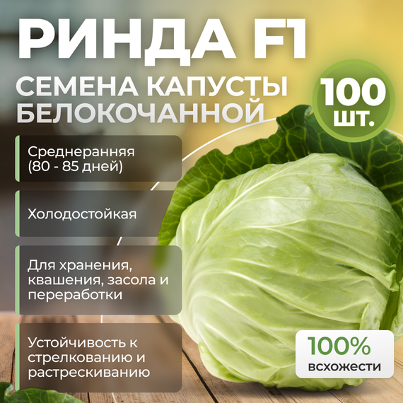 РИНДА F1 семена капусты белокочанной (Seminis | Alexagro) – фото 11