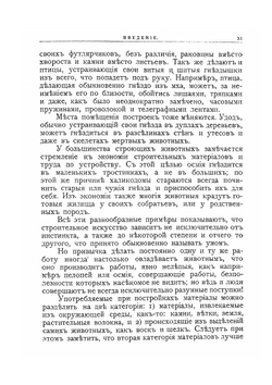 Искусства и ремесла у животных | Г. Купэн