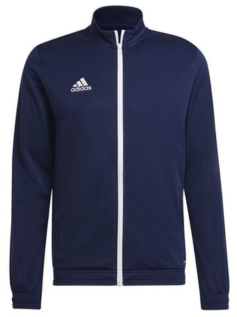 Мужская теннисная кофта Adidas Entrada 22 Track Jacket - небесный
