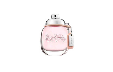 Coach Women's Perfume Set Eau De Toilette EDT 30ml With Silk Scarf And Towel Bear