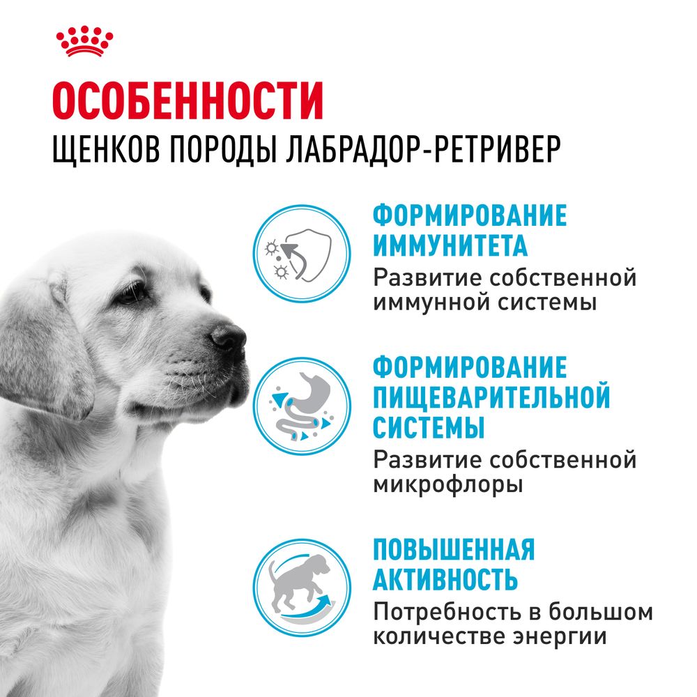 Сухой корм Royal Canin Labrador Retriever Puppy для щенков породы Лабрадор Ретривер до 15 месяцев Сухой корм Royal Canin Labrador Retriever Puppy для щенков породы Лабрадор Ретривер до 15 месяцев