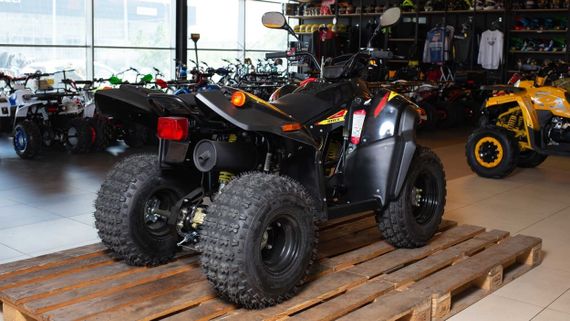 Квадроцикл STELS ATV 110A HUGO