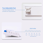 Игровая клавиатура AKKO 3098N (Blue&White/RGB/Hot-Swap/3 Modes, TTC Honey Switch)