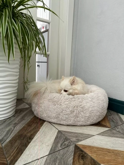 Лежанка для кошек лежак для собак домик