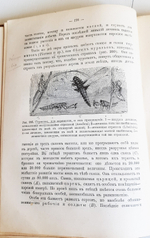 "Руководство зоологии. Для мужских средне-учебных заведений". Л. и В.Шимкевич. 1910 г.