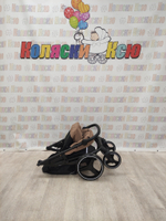 Коляска прогулочная Rant Basic Alpine Brown 2025