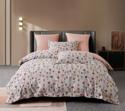 Постельное белье 2 спальное евро Asabella 2071-6