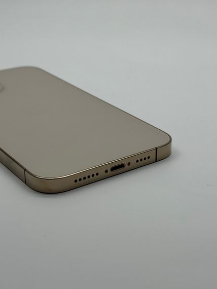 iPhone 13 Pro Max 1TB Gold