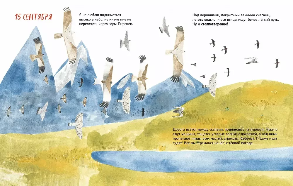 На крыльях над Землей: дневник ласточки