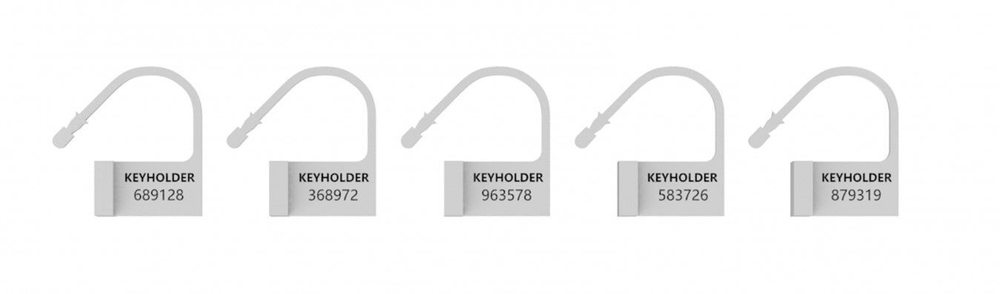 Набор запасных замков для пояса верности из 5 штук с ключиками