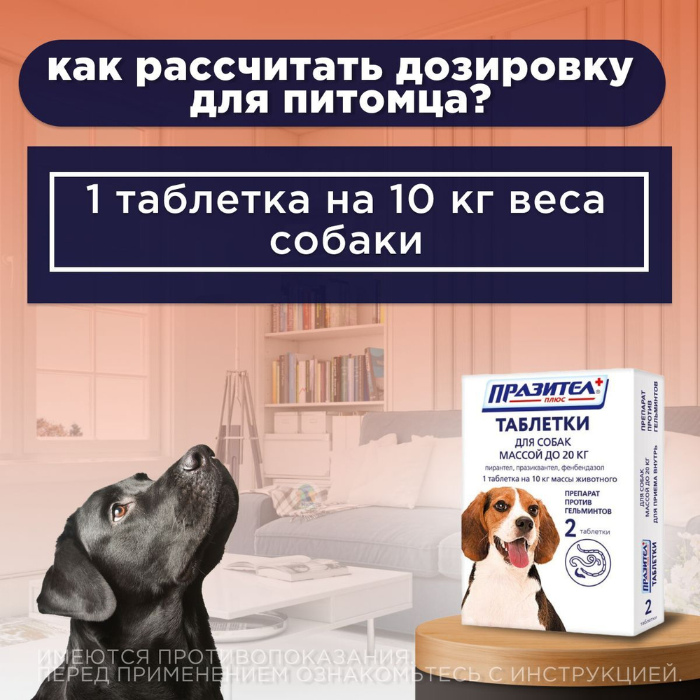 Таблетки от гельминтов для собак до 20кг Празител Плюс, 2 таб. Празиквантел/Пирантел/Фенбендазол