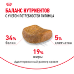 Royal Canin British Shorthair Adult Корм сухой для взрослых британских кошек 2кг