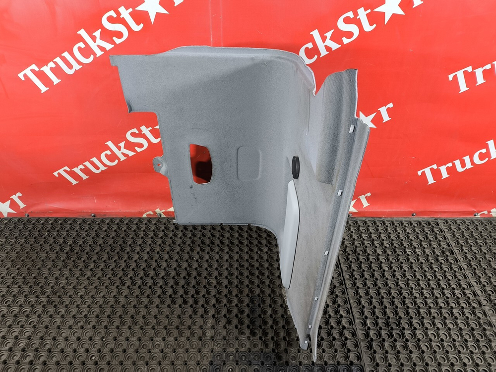 Обшивка потолка левая 2020г.