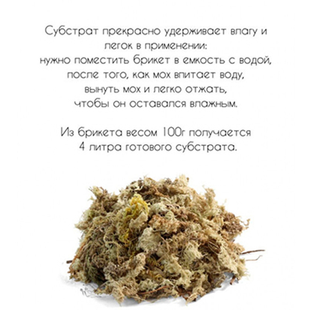 Repti-Zoo Субстрат "Мох сфагнум", 100г