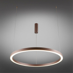 Подвесная светодиодная люстра Aployt Nisia APL.025.03.60