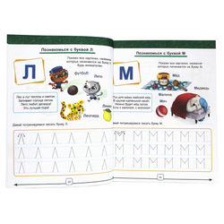 ГОДОВОЙ КУРС 4-5 ЛЕТ (стандарт 20), изд.: Проф-пресс