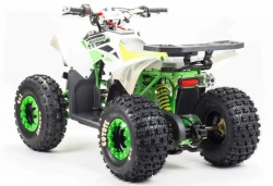 Квадроцикл Motoland 125 COYOTE